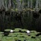 Airfield Lake
