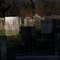 Ann Lee Grave
