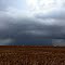 Rain in South Texas