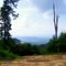 On The Mountain