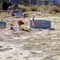 Boles Acres - Boles Cemetary