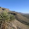 Dog Canyon Hike