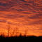 Bethalto at Sunset