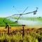 Irrigating