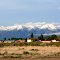 A Colorado landscape in June