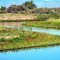 Rio Grande River in The  Alamosa National Wildlife Refuge