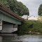 Hwy 280 Bridge in Dadeville