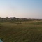 Cattle grazed peacefully on the adjacent property. (6/05)