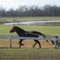 Harness Racing Training at McNabb Park