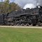 NKP 765 passing through Woodland Park, Ithaca, MI, October 2011