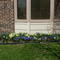 My house!