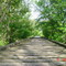 old dinky rail bridge