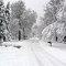 Snow storm Feb. 25th, 2007