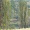 Willow near Copperville, Idaho