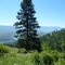 Overlooking the Salmon River facing South East
