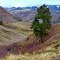 Overlooking Salmon River, White Bird, ID