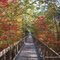 Accessible Trail to Bald Rock Overlook, Cheaha State Park