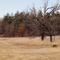 Rolling Hills, Bunker Hills Regional Park, Andover, Minnesota