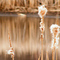Last Year's Cattails, Springbrook Nature Center, Fridley, Minnesota