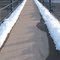 Highway 10 Pedestrian Overpass, Blaine, Minnesota
