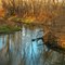Sand Creek, Coon Rapids, Minnesota