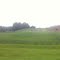 Baywood farms