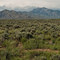 Arco Hills. King Mountain from edge of the desert. South of Arco.