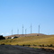 Windfarm