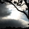 Behind the clouds a silver lining.....