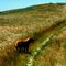 # 18 The long and Winding Road - California