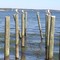 Havre de Grace