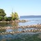 Havre de Grace