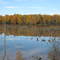 Thunder Bay River