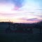 Maple Ridge Sunset