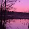 Duffies Pond, near Congaree National Park, Columbia, SC