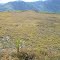 Guari Airstrip - Guari LLG