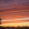 Edwards Pasture sunrise