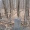 Massachusetts-New York-Vermont Tri-point marker
