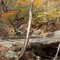 Cheshire Trail - Mt. Greylock