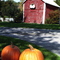 Peckam's Farm