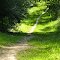Kuebler Langford Trail, Ann Arbor, Michigan