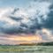 Dick Young Forest Preserve