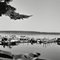 Tout Lake