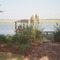 Backyard, 1616 Riverside Drive