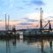 Shrimp Boats at 11 Dockside