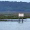 2012, Beaufort, SC - on the river