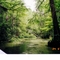 Lousiana - Pearl River