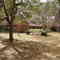 519 Oak Alley Dr.
