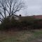 Abandoned House