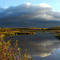 ASHLAND MARSH